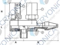Дивертор CAEN CDR