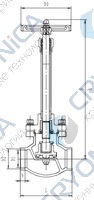 Криогенный запорный клапан CCK T255DA125-150 PN25
