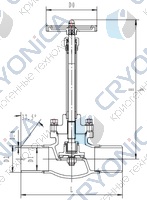 Криогенный запорный клапан CCK T328DJ50X-100X PN40