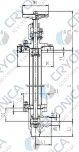 Криогенный запорный клапан угловой CCK T211DL20-40 PN16 Криогенный запорный клапан угловой CCK T211DL20-40 PN16