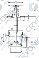 Криогенный запорный клапан угловой CCK T251DL200-350 PN25