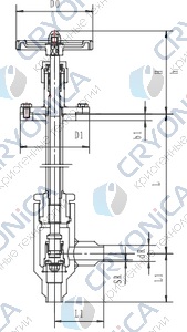 Криогенный запорный клапан угловой CCK T301DL10-15 PN40 Криогенный запорный клапан угловой CCK T301DL10-15 PN40