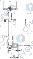 Криогенный запорный клапан угловой CCK T311DL10-15 PN40
