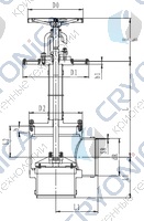 Криогенный запорный клапан угловой CCK T311DL200-300 PN40