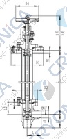 Криогенный запорный клапан угловой CCK T351DL50-80 PN64
