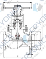 Запорный клапан CCK J41F-40P