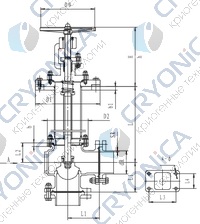 Криогенный запорный клапан угловой CCK T121DB25-50 PN6 Криогенный запорный клапан угловой CCK T121DB25-50 PN6