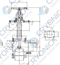 Криогенный запорный клапан угловой CCK T171DB125-200 PN10 Криогенный запорный клапан угловой CCK T171DB125-200 PN10