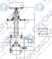 Криогенный запорный клапан угловой CCK T171DL125-250 PN10