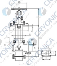 Криогенный запорный клапан угловой CCK T171DL65-100 PN10