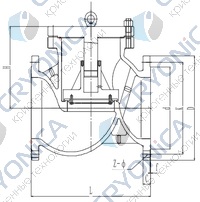 Обратный клапан T201H300 PN16