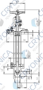 Криогенный запорный клапан угловой CCK T211DB50-100 PN16 Криогенный запорный клапан угловой CCK T211DB50-100 PN16