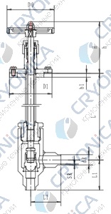 Криогенный запорный клапан угловой CCK T251DB10-15 PN25 Криогенный запорный клапан угловой CCK T251DB10-15 PN25