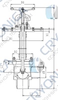 Криогенный запорный клапан угловой CCK T251DB150 PN25