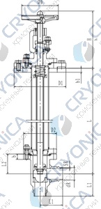 Криогенный запорный клапан угловой CCK T251DB25-40 PN25
