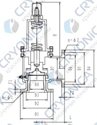 Предохранительный клапан тип T251DK32-100 PN25