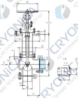 Криогенный запорный клапан угловой CCK T271DB50-65 PN25