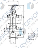 Криогенный запорный клапан угловой CCK T321DB25-50 PN40