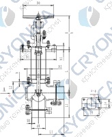 Криогенный запорный клапан угловой CCK T321DB65-80 PN40