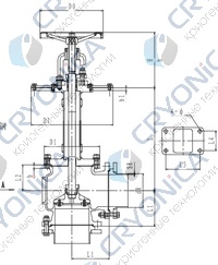 Криогенный запорный клапан угловой CCK T321DL150 PN40 Криогенный запорный клапан угловой CCK T321DL150 PN40