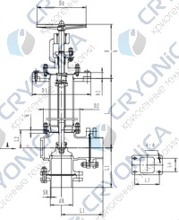 Криогенный запорный клапан угловой CCK T321DL65-80 PN40 Криогенный запорный клапан угловой CCK T321DL65-80 PN40
