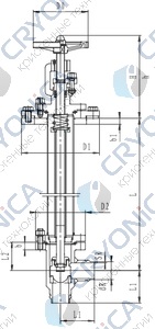 Криогенный запорный клапан угловой CCK T351DB50-80PN64 Криогенный запорный клапан угловой CCK T351DB50-80PN64