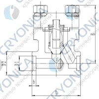 Криогенный обратный клапан T551DH10-40 PN250