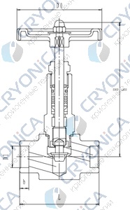 Криогенный игольчатый клапан CCK T651DB8-15 PN350 Криогенный игольчатый клапан CCK T651DB8-15 PN350