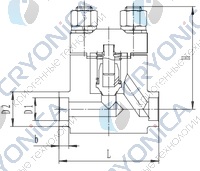 Криогенный обратный клапан T651DH10-40 PN350